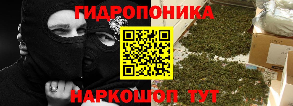 Марихуана гибрид  Шишки марихуана семена  Вход с VPN  Бошки Шишки AK-47  Алатырь  Бошки марихуана семена 